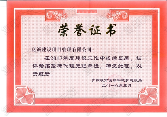 青铜峡市招投标代理先进单位