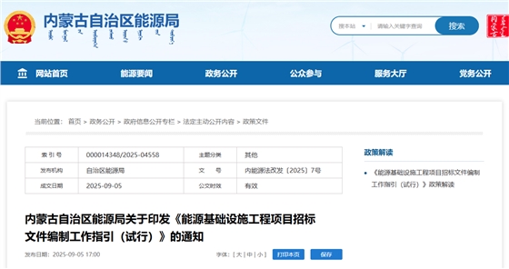 能源基础设施工程项目招标文件编制工作指引（试行）.png