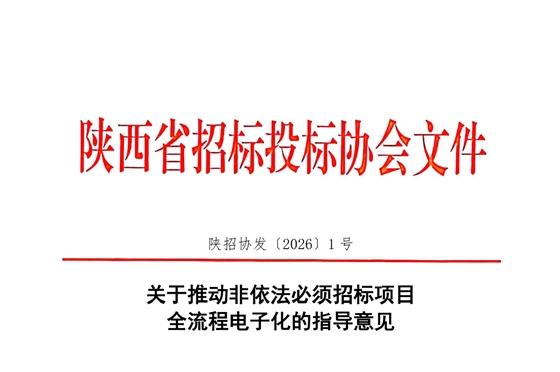 关于推动非依法必须招标项目全流程电子化的指导意见.png