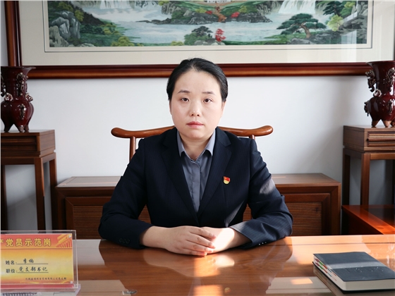 亿诚建设项目管理有限公司常务副总-李楠