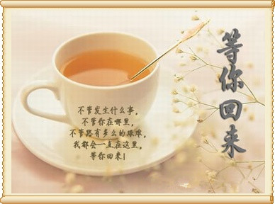 亿诚等你回来 亿诚等你回来