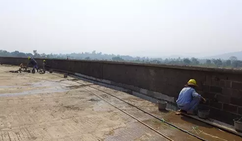 图片9.png 图片9.png