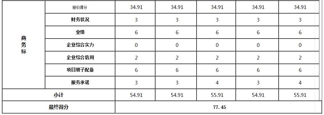 商务标2 商务标2