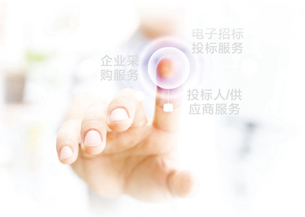 电子招投标模式 电子招投标模式