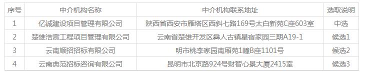 中选机构 中选机构