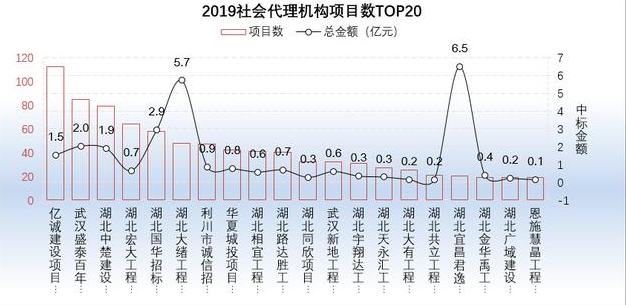 2019社会代理机构项目数TOP20 2019社会代理机构项目数TOP20