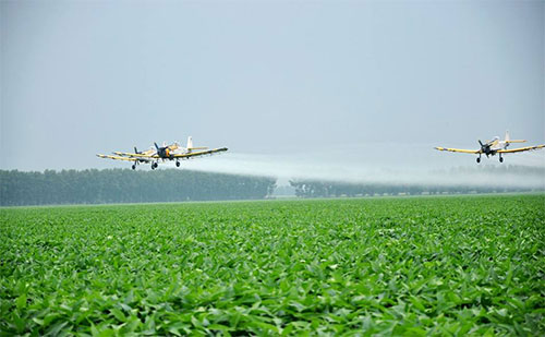 规模化农业生产 规模化农业生产