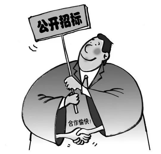 什么是依法必招项目