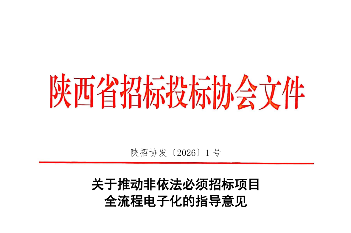 关于推动非依法必须招标项目全流程电子化的指导意见.png